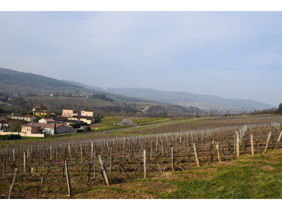 Terrain Berzé-la-Ville  pièce - 112340€